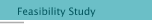 Feasibility Study