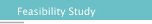 Feasibility Study